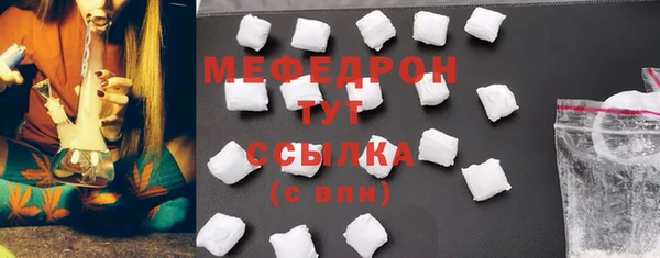 сатива Няндома