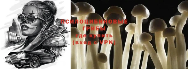 Альфа ПВП Осинники