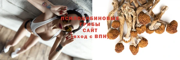 стаф Остров