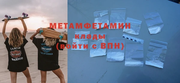 сатива Няндома