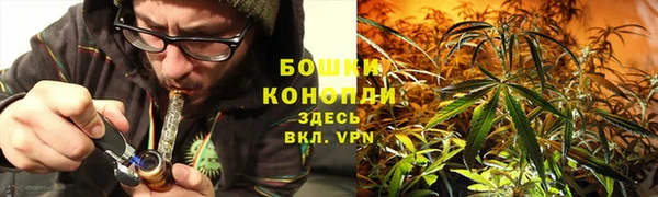 стаф Остров